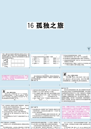 九年级语文上册 第四单元 16 孤独之旅作业课件 新人教版 课件