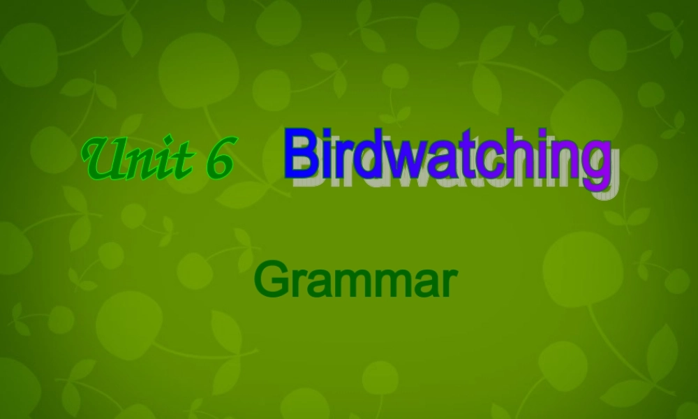 八年级英语上册 Unit 6 Bird watching Grammar课件 (新版)牛津版 课件