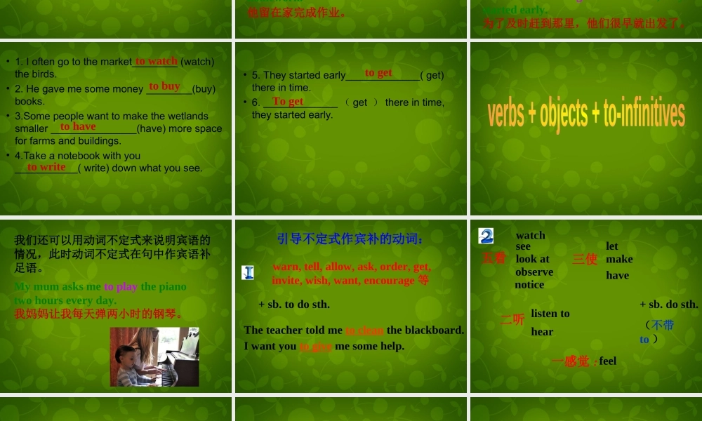 八年级英语上册 Unit 6 Bird watching Grammar课件 (新版)牛津版 课件