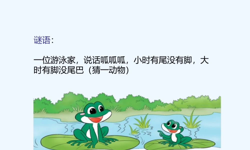 小学数学北师大2011课标版四年级北师大版四年级下册《字母表示数》