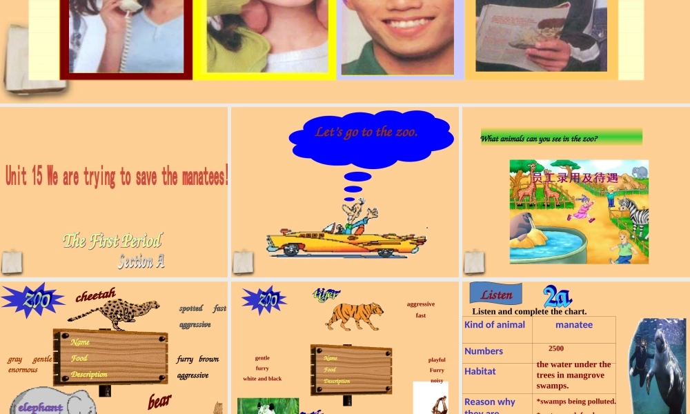 九年级英语 Unit15Section A and SectionB课件 人教新目标版 课件