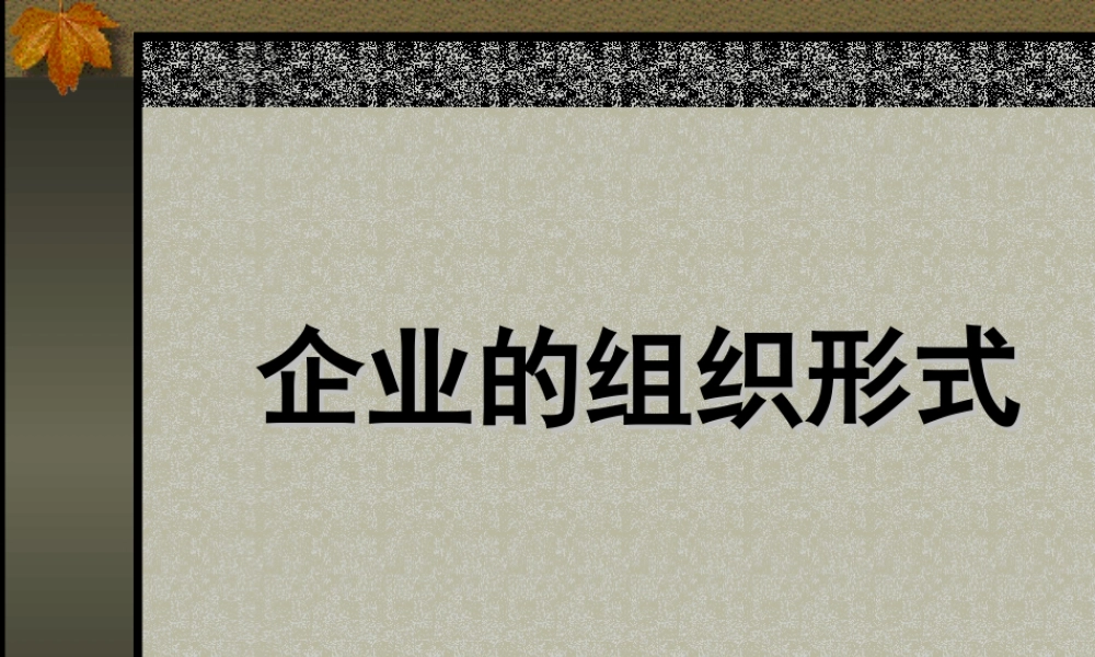 企业的组织形式