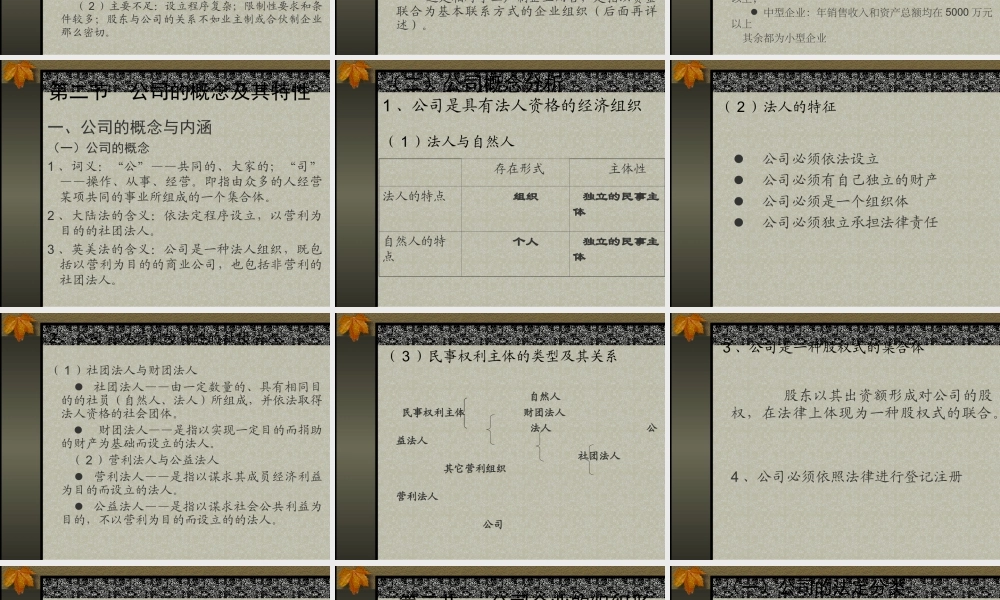 企业的组织形式