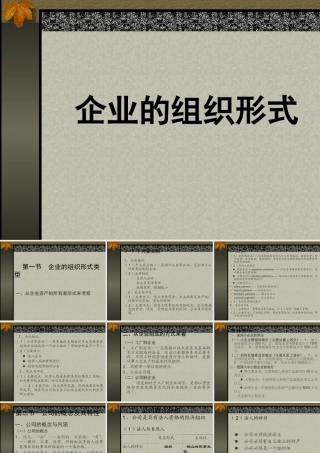 企业的组织形式