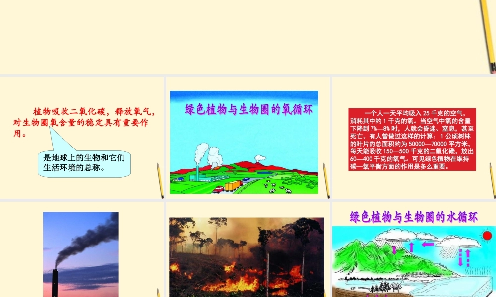 七年级生物上册(绿色植物与生物圈的物质循环)课件 苏教版 课件