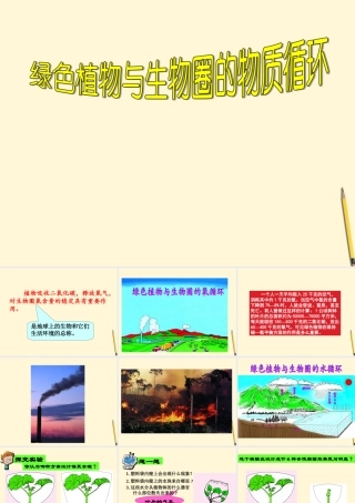 七年级生物上册(绿色植物与生物圈的物质循环)课件 苏教版 课件