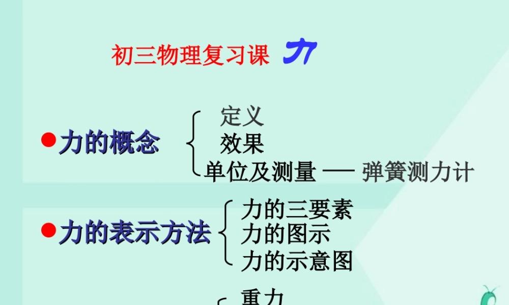 初三物理复习课 力 课件