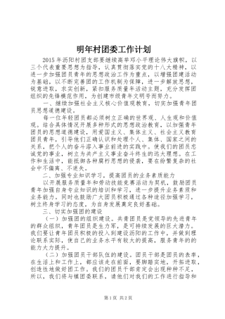 明年村团委工作计划