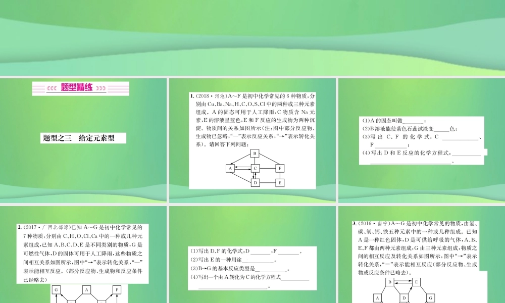 中考化学总复习 中考6大题型轻松搞定 题型复习(二)推断题之三 给定元素型课件