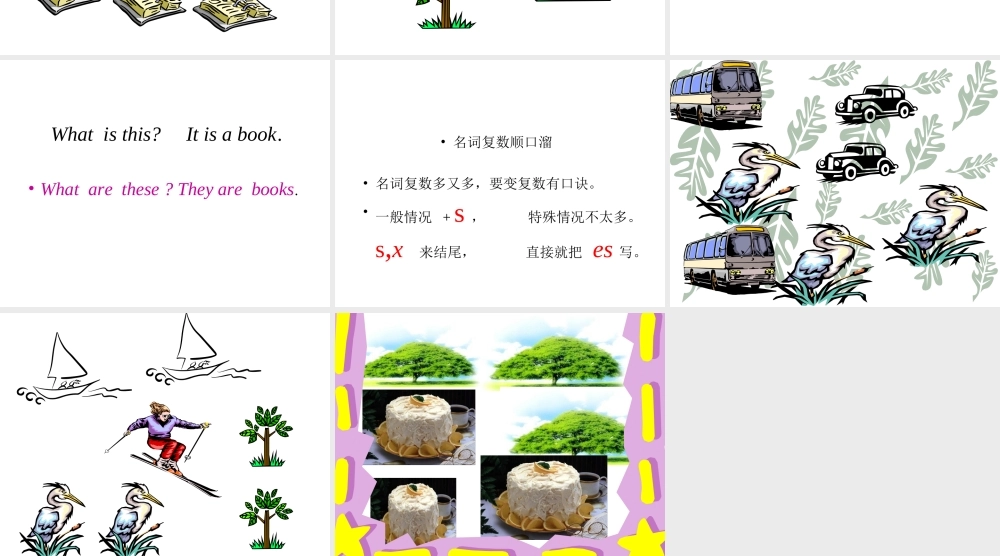 新目标七年级上 名词复数形式 课件