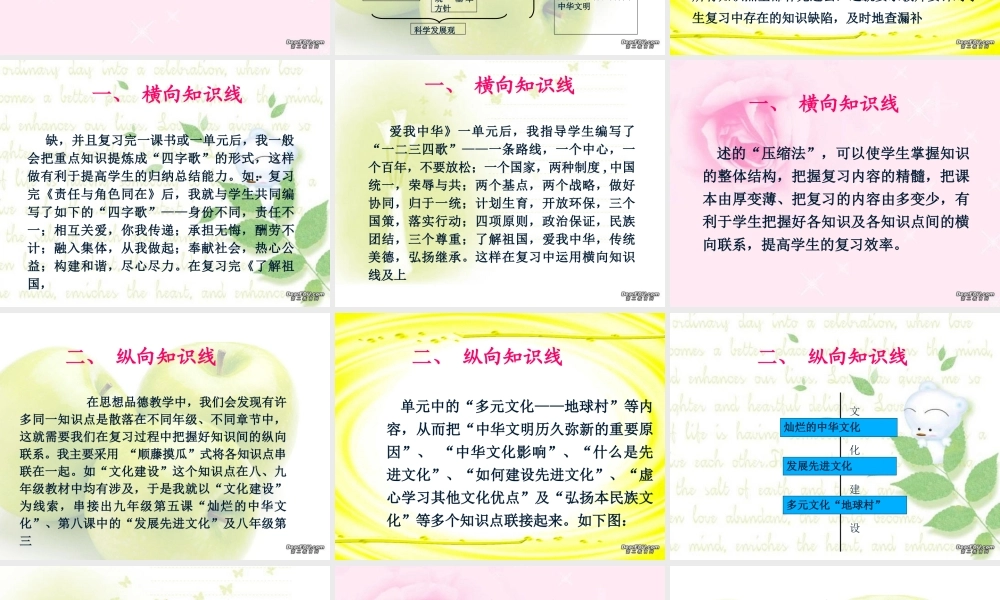 九年级政治三线一体复习课件