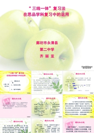 九年级政治三线一体复习课件