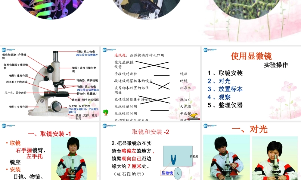中学七年级生物上册 1.1.4 生物学的研究工具课件 (新版)济南版 课件