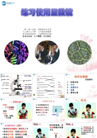中学七年级生物上册 1.1.4 生物学的研究工具课件 (新版)济南版 课件