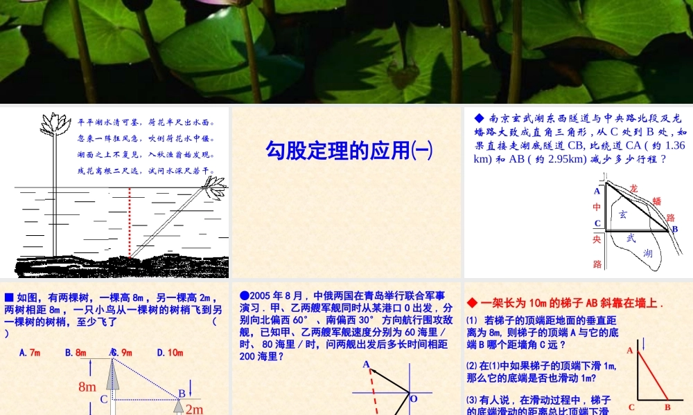 八年级数学勾股定理的应用课件3苏科版 课件