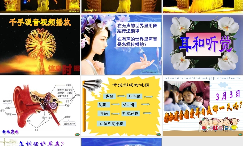 七年级生物下册人体对外界环境的感知 耳和听觉课件新人教版 课件