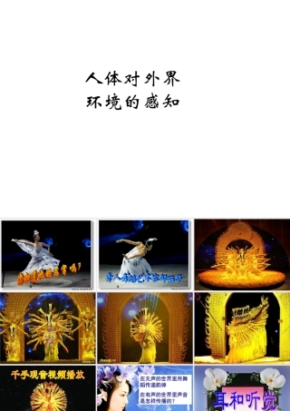 七年级生物下册人体对外界环境的感知 耳和听觉课件新人教版 课件