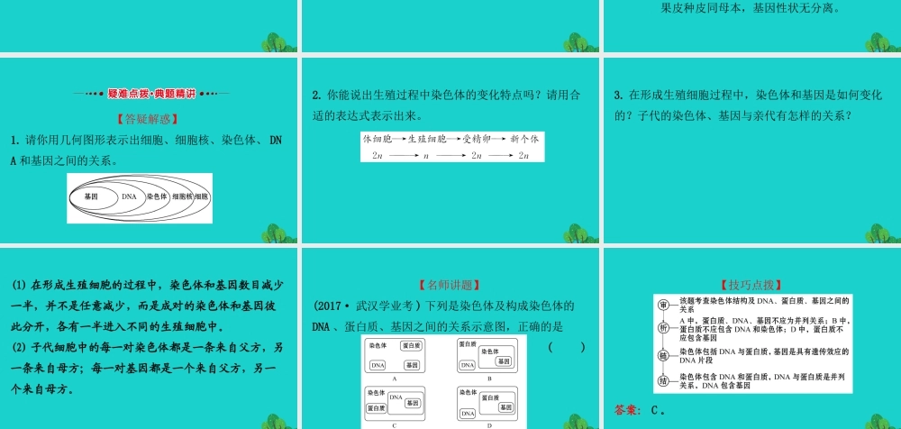 八年级生物下册 7.2.2基因在亲子代间的传递习题课件(新版)新人教版 课件