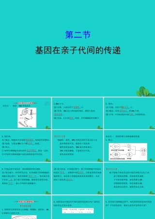 八年级生物下册 7.2.2基因在亲子代间的传递习题课件(新版)新人教版 课件