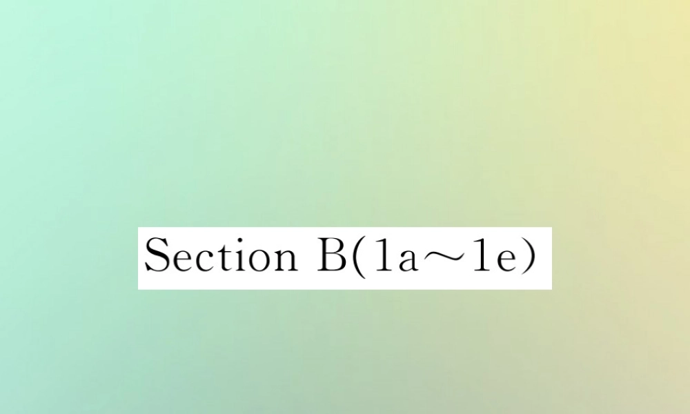 九年级英语全册 Unit 7 Teenagers should be allowed to choose their own clothes Section B(1a 1e)课时检测课件 (新版)人教新目标版 课件