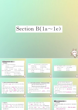 九年级英语全册 Unit 7 Teenagers should be allowed to choose their own clothes Section B(1a 1e)课时检测课件 (新版)人教新目标版 课件