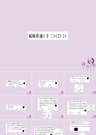 九年级数学上册 双休作业(12)作业课件 (新版)沪科版 课件