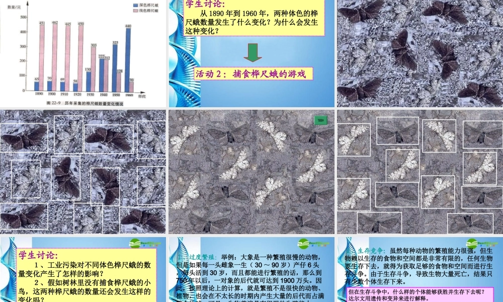 八年级生物下册 生物进化的原因课件 苏科版 课件