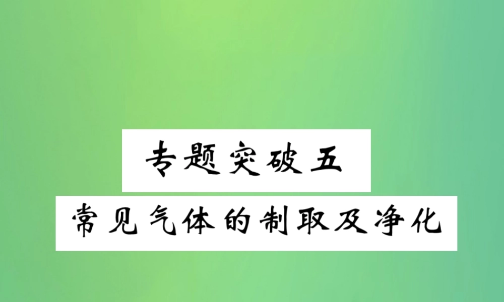 中考化学毕业总复习 第2编 重点专题突破篇 专题突破5 常见气体的制取及净化课件