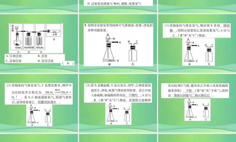 中考化学毕业总复习 第2编 重点专题突破篇 专题突破5 常见气体的制取及净化课件