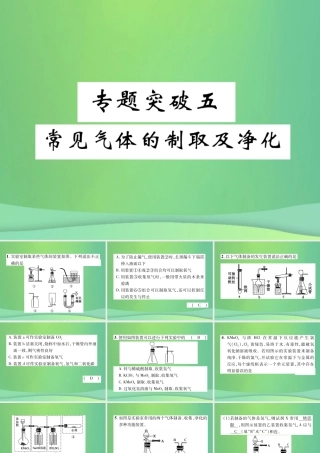 中考化学毕业总复习 第2编 重点专题突破篇 专题突破5 常见气体的制取及净化课件