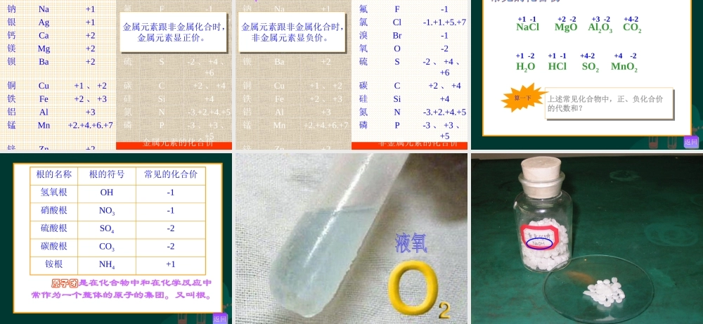 初三化学化学式与化合价教学[整理]新课标 课件