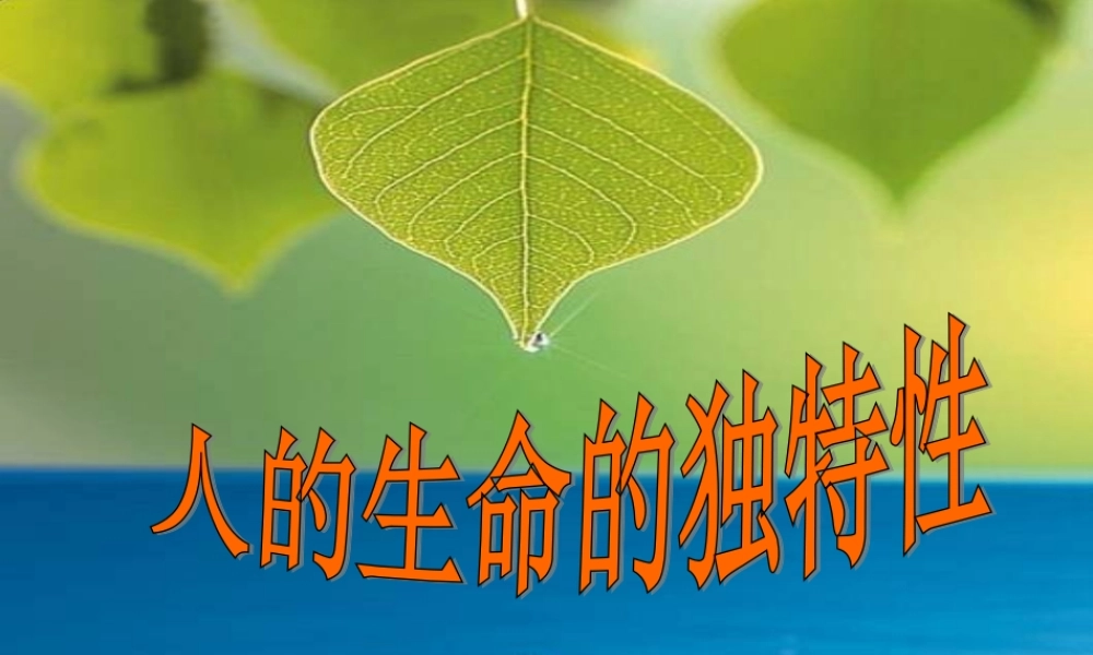 人的生命的独特性1