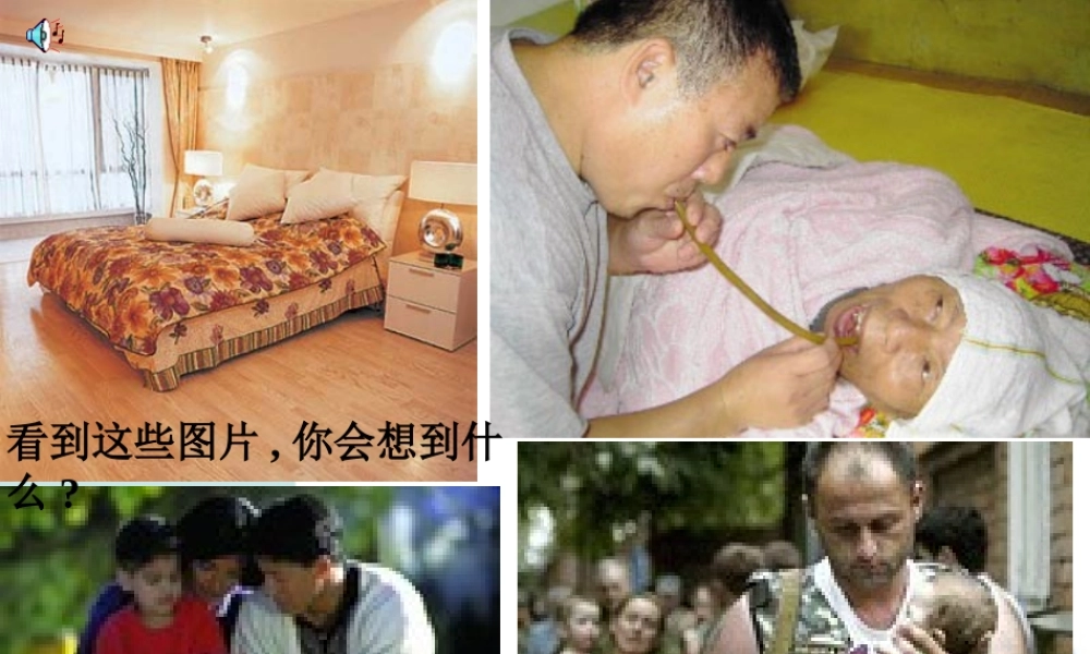 八年级思想品德上册 第一单元第一课爱在屋檐下课件 人教新课标版 课件