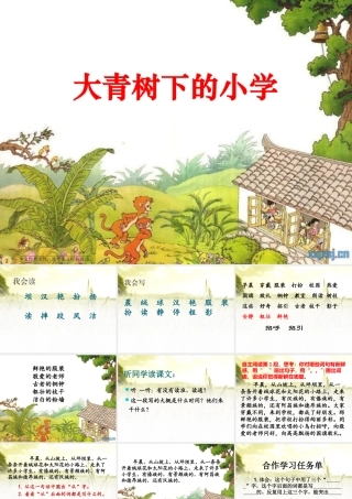 1大青树下的小学-(3)