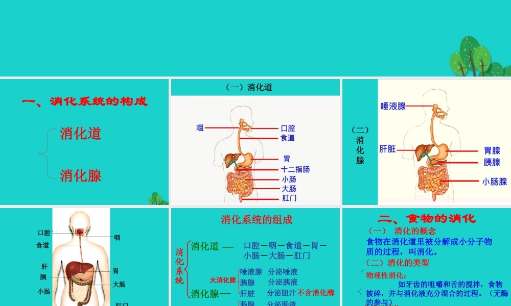 七年级生物下册 第三单元 第二章 第二节 消化和吸收课件 (新版)济南版 课件