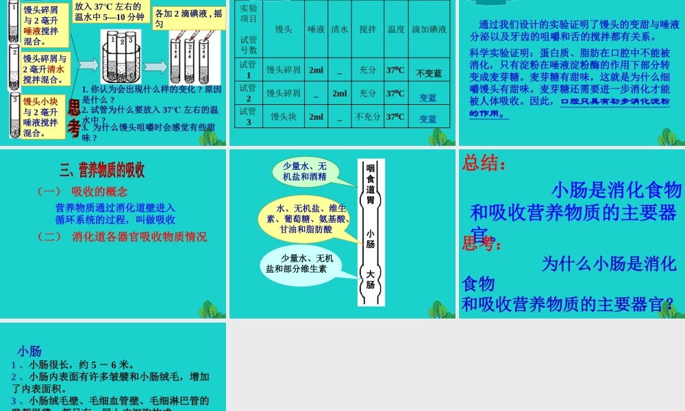 七年级生物下册 第三单元 第二章 第二节 消化和吸收课件 (新版)济南版 课件