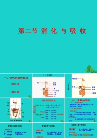 七年级生物下册 第三单元 第二章 第二节 消化和吸收课件 (新版)济南版 课件