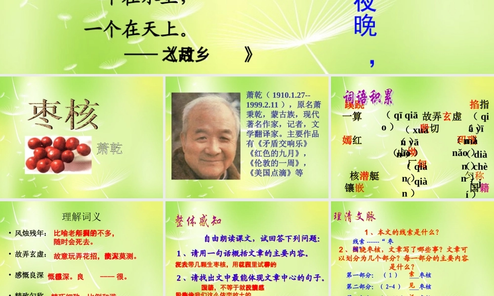 八年级语文上册 第二单元 6 枣核课件 (新版)苏教版 课件