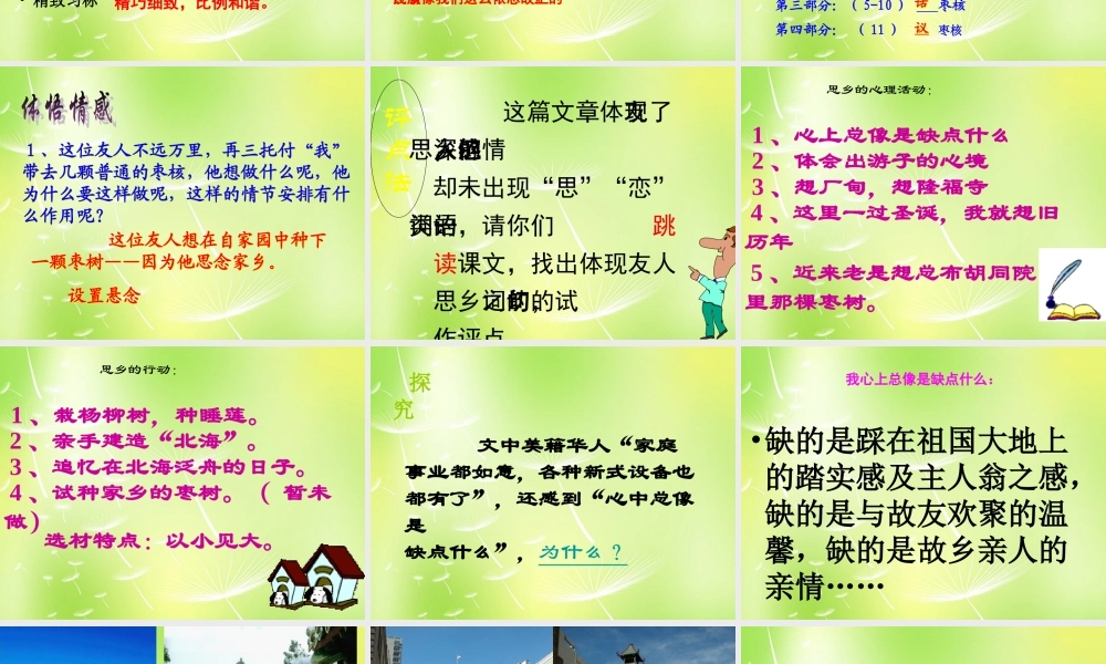 八年级语文上册 第二单元 6 枣核课件 (新版)苏教版 课件