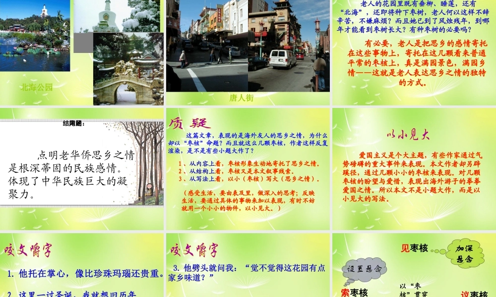 八年级语文上册 第二单元 6 枣核课件 (新版)苏教版 课件