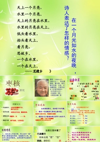 八年级语文上册 第二单元 6 枣核课件 (新版)苏教版 课件