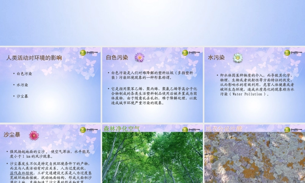 七年级生物上册 生物对环境的影响课件 苏科版 课件