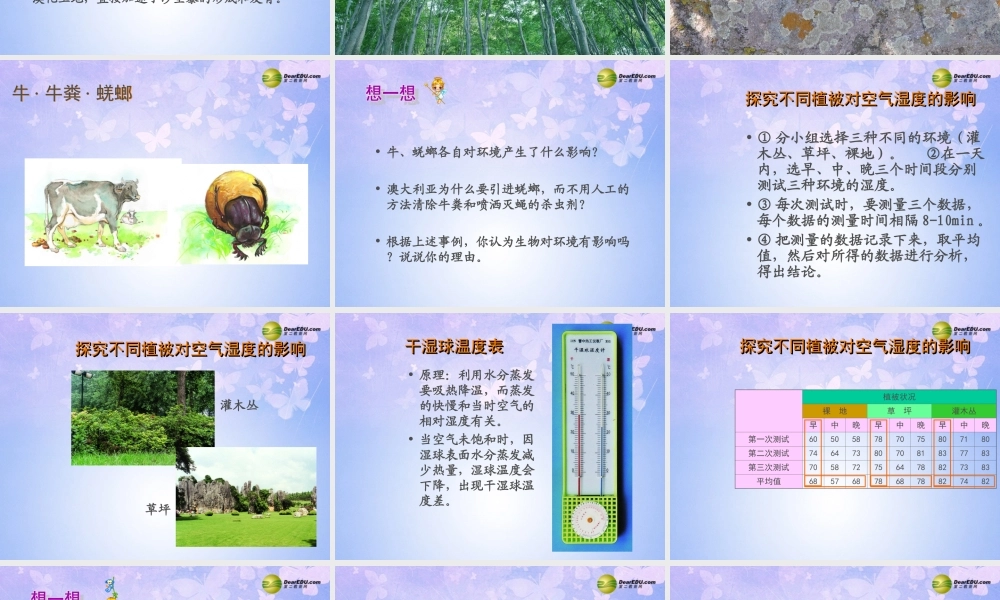 七年级生物上册 生物对环境的影响课件 苏科版 课件