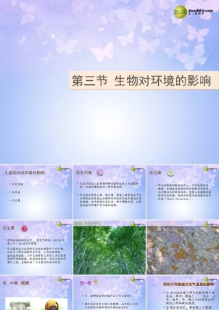 七年级生物上册 生物对环境的影响课件 苏科版 课件