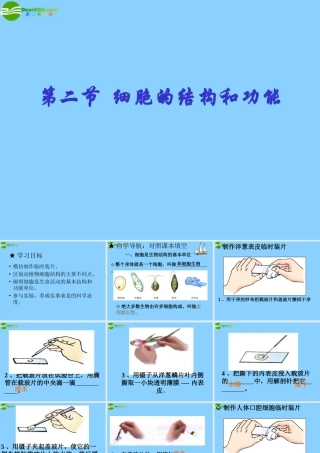山东省潍坊市临朐县七年级生物上册 第二节 细胞的结构和功能课件 济南版 课件