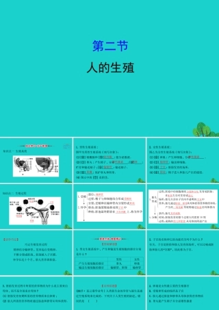 七年级生物下册 4.1.2人的生殖习题课件(新版)新人教版 课件