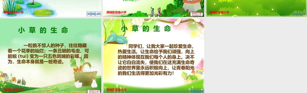 小学课件草的生命积累
