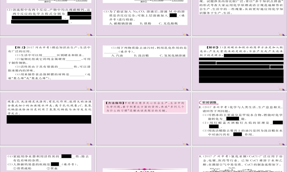 中考化学复习 第二编 重点题型突破篇 专题5 化学与生产、生活(精讲)课件