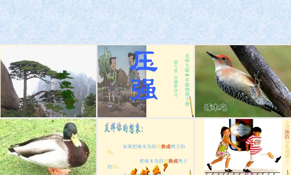 八年级物理下册 8.1(压强)课件 北师大版 课件
