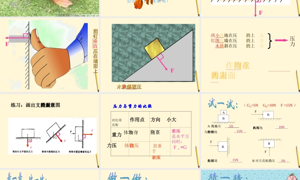 八年级物理下册 8.1(压强)课件 北师大版 课件